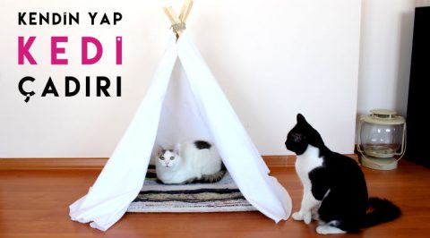 Kendin Yap Kedi Evi Oyun Çadırı Bohem Çadır Yapımı Tarz Meselesi