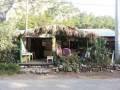 cactus-shop-olympos