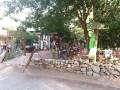 olympos-cactus-cafe