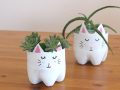 diy-pet-siseden-saksi